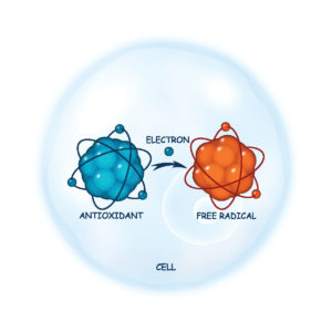 Lire la suite à propos de l’article Qu’est ce que le stress oxydant ?