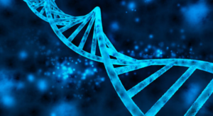 Lire la suite à propos de l’article Voyage à travers l’ADN nucléaire sans oublier l’ADN mitochondrial (L’odyssée de la cellule #3)